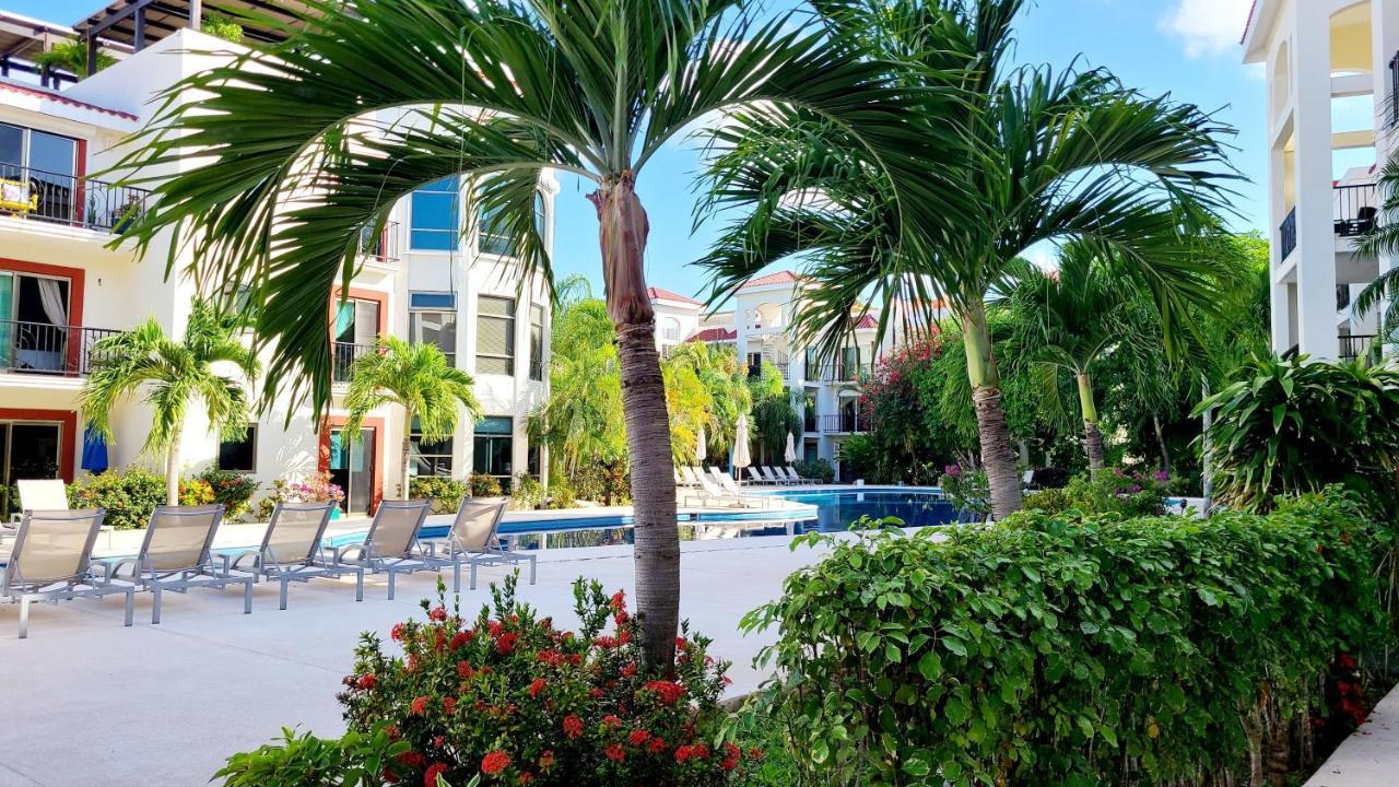 Paseo Del Sol Coral 106