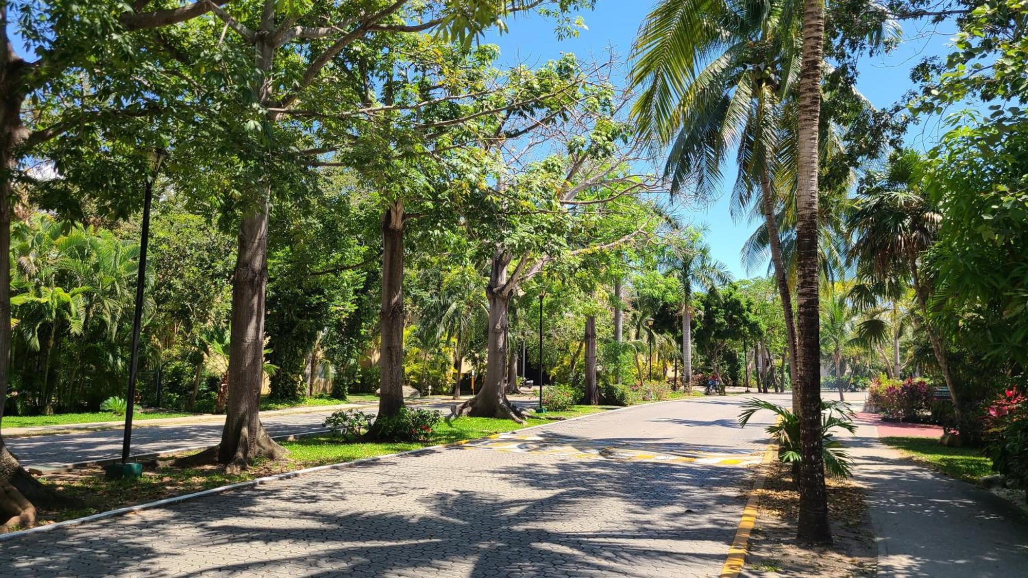 Paseo Del Sol Coral 106